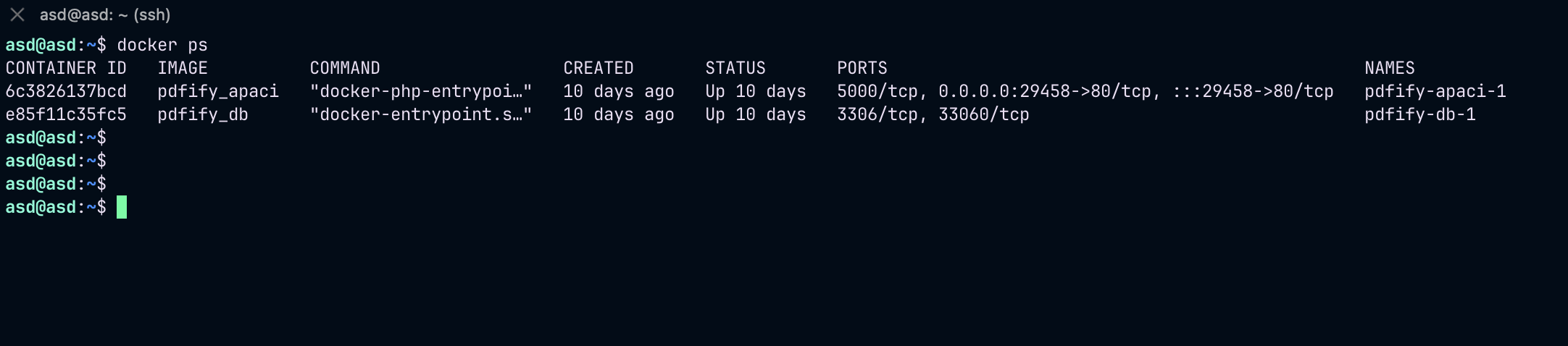 Figure 1: Docker ps